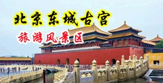 骚逼,夹紧,用力,操哭你,浪逼中国北京-东城古宫旅游风景区